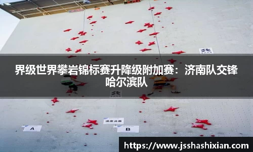 DG视讯平台